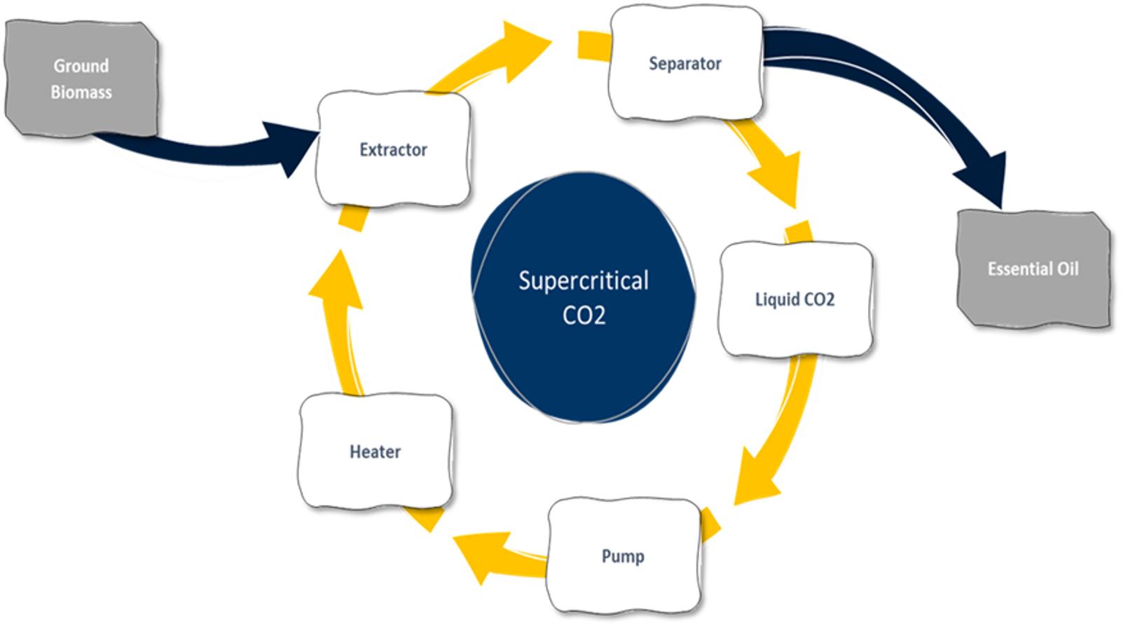 essential-oil-extraction