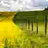 renewable-diesel-thumbnail.jpg