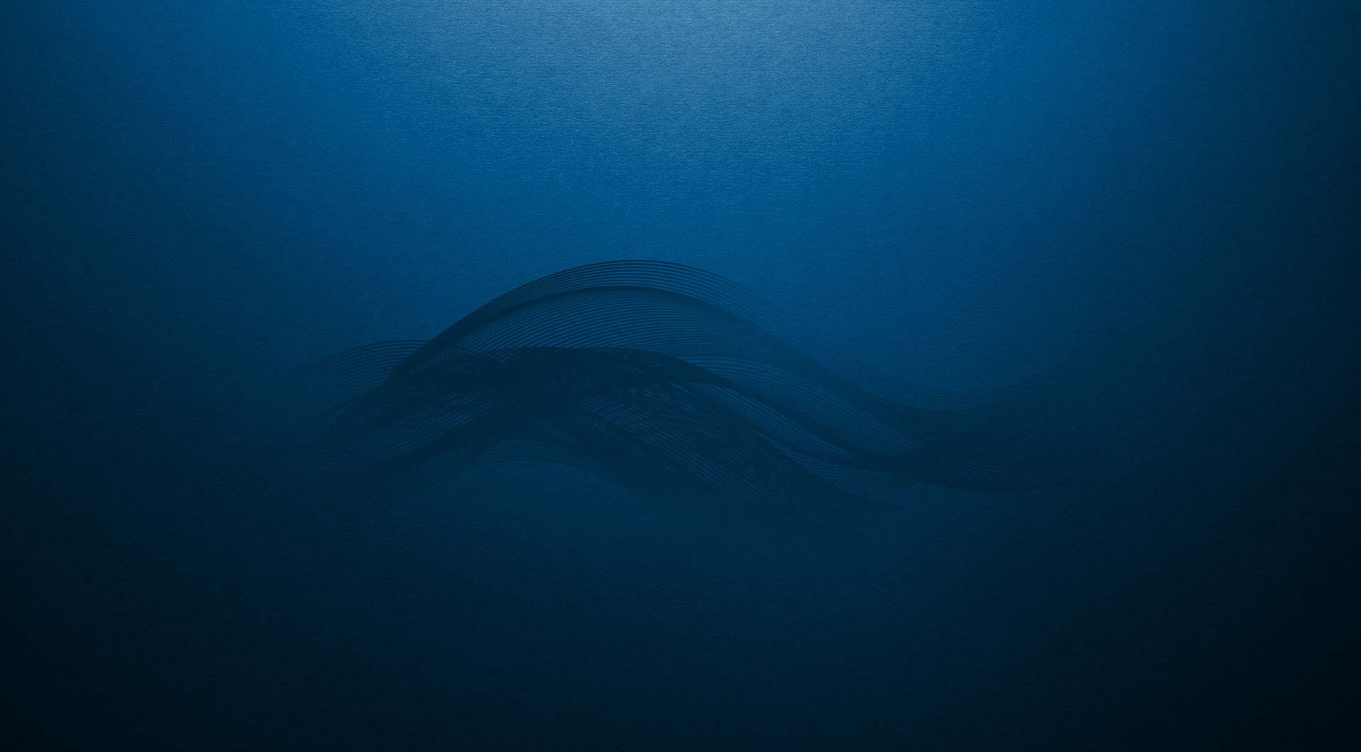 Estandarte Milton Roy Blue Wave