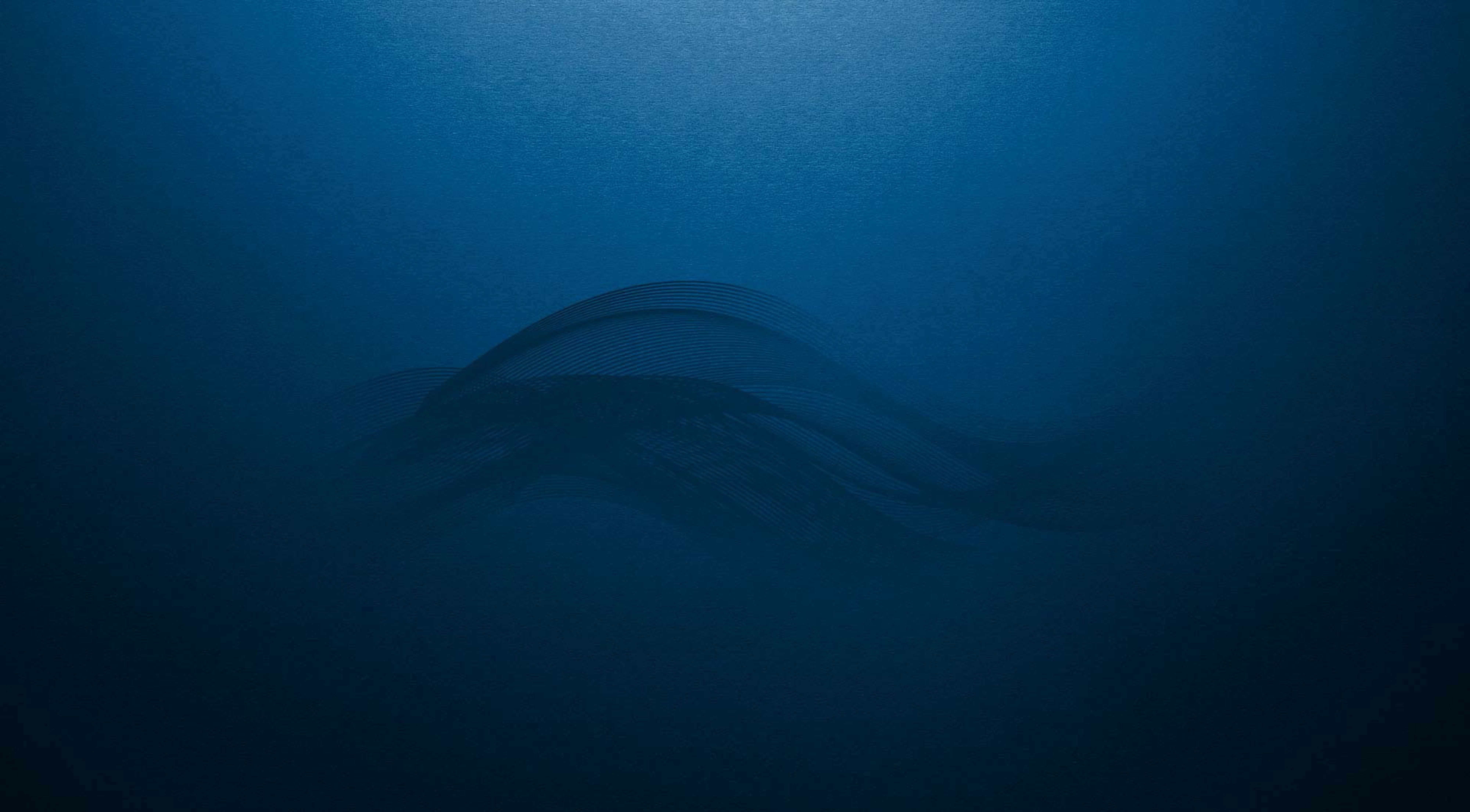 API 675 Controlled Capacity Pumps | Milton Roy