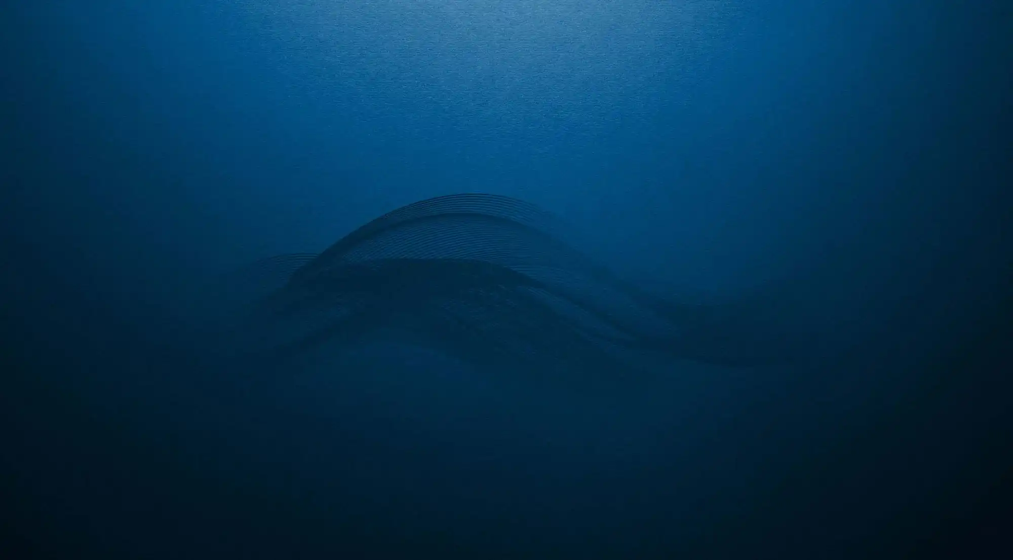 Milton Roy Blue Wave Banner