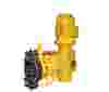 Primeroyal H