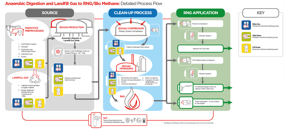 RNG-process-map