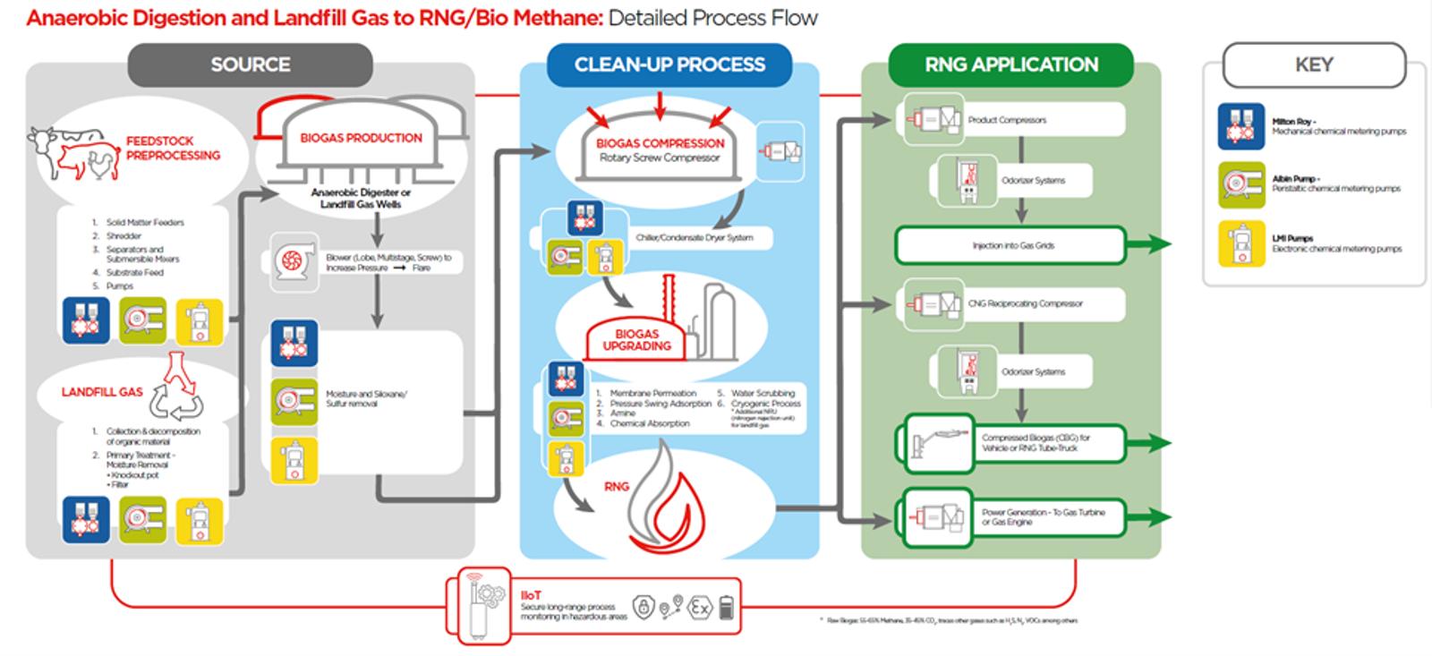 RNG-process-map