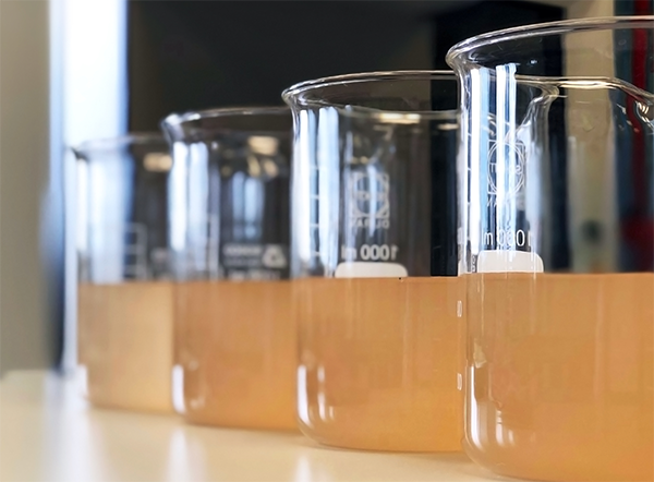 Waste water sample in beakers coagulation and flocculation method with Ferric chlorine and using Jar test for forming precipitation and reduced turbidity calibration range