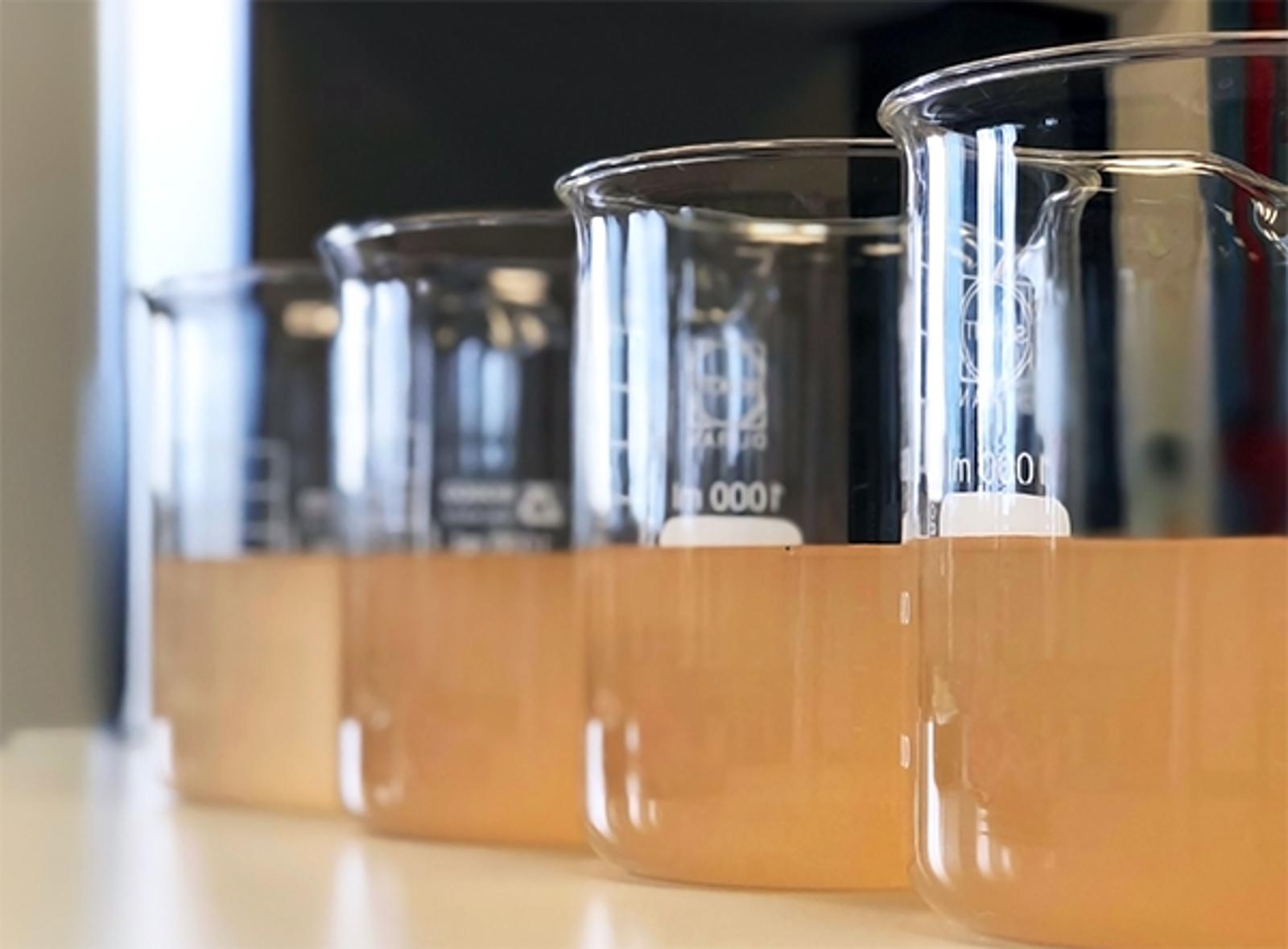 Waste water sample in beakers coagulation and flocculation method with Ferric chlorine and using Jar test for forming precipitation and reduced turbidity calibration range