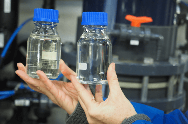 organic and inorganic coagulation