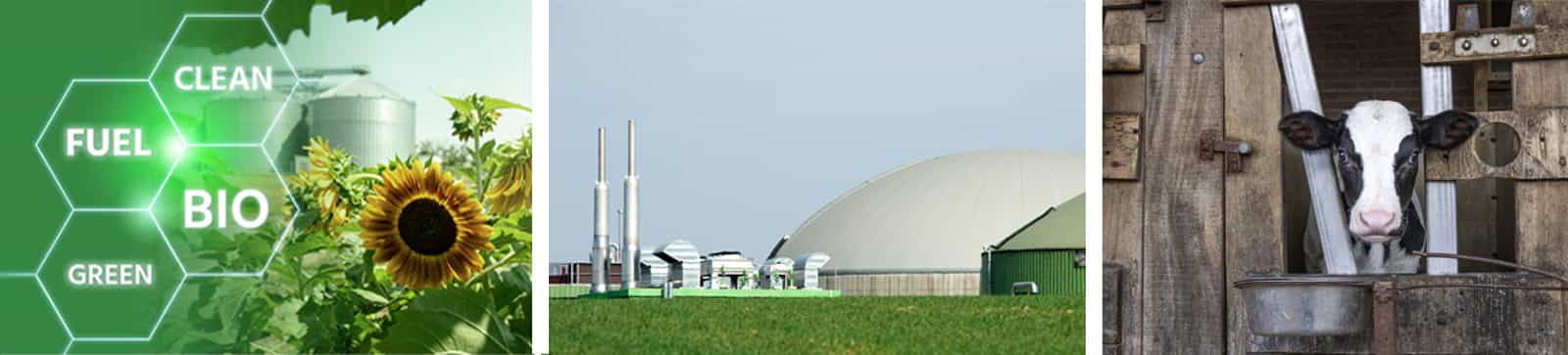 renewable-natural-gas-banner.jpg