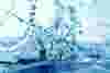 test-water.webp