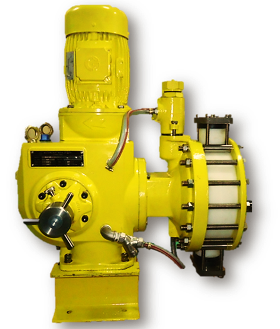 Primeroyal Yellow
