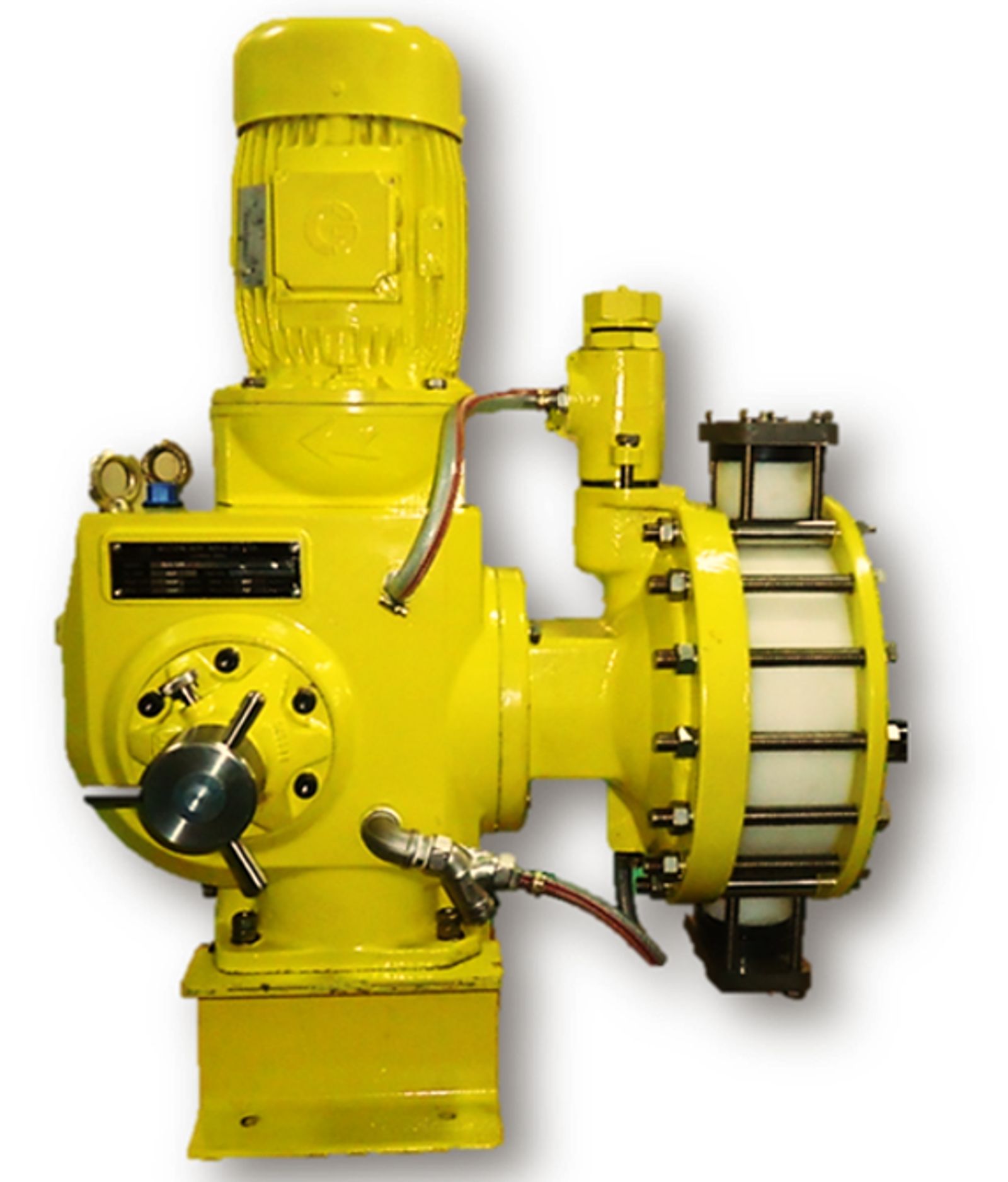 Primeroyal Yellow