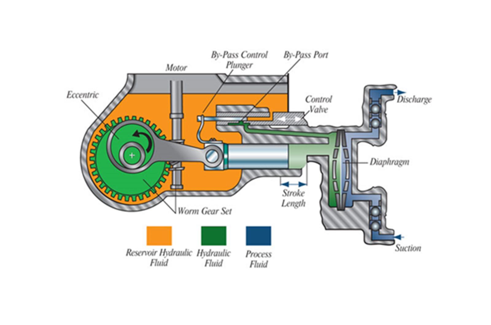 mRoy-sectional-view