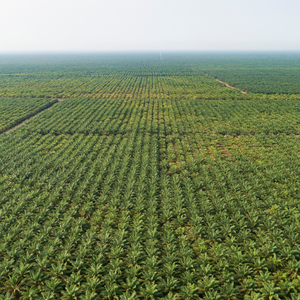 palm-oil-production-thumbnail-milton-roy-mixing.png