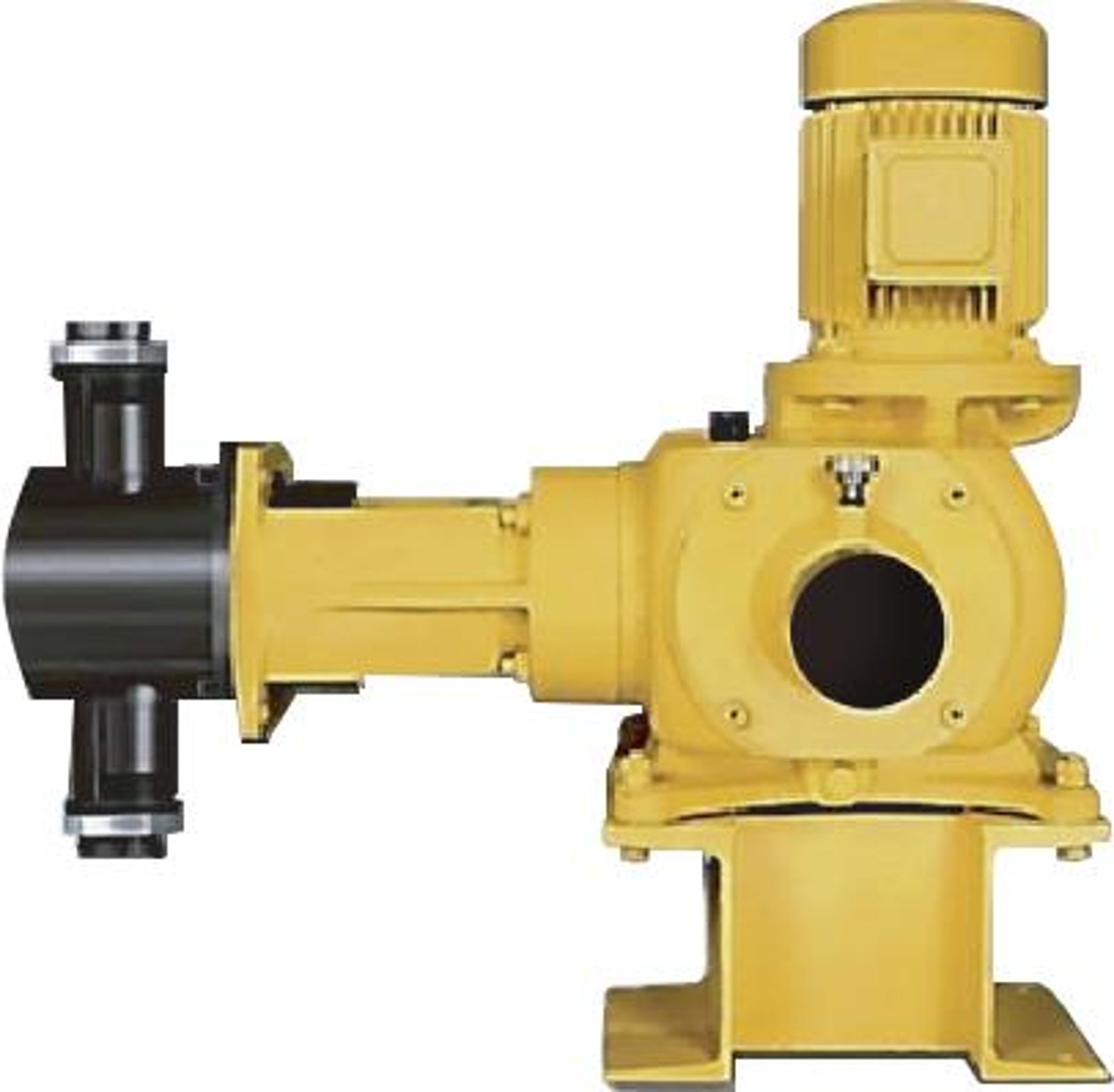 PLUNGER PUMP PN-01