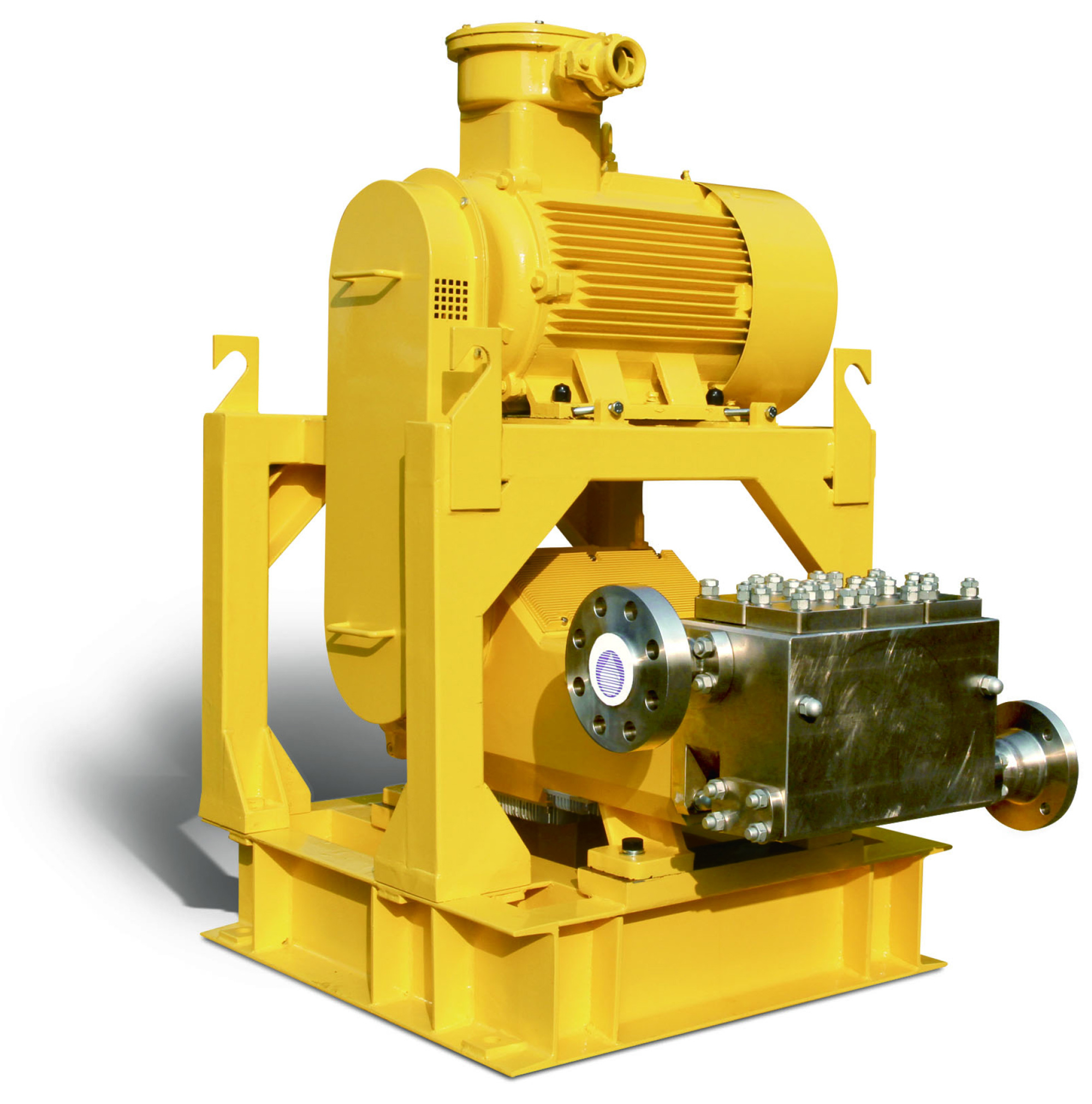 API 674 Reciprocating Process Pumps | POWEROYAL | Milton Roy