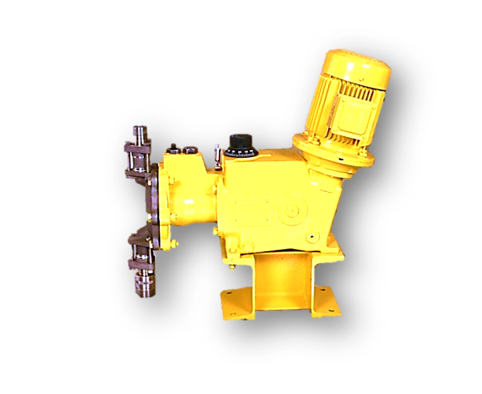 MaxRoy1.png
