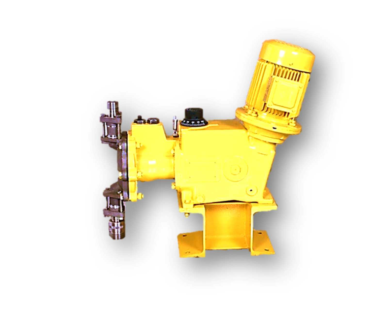 MaxRoy1.png