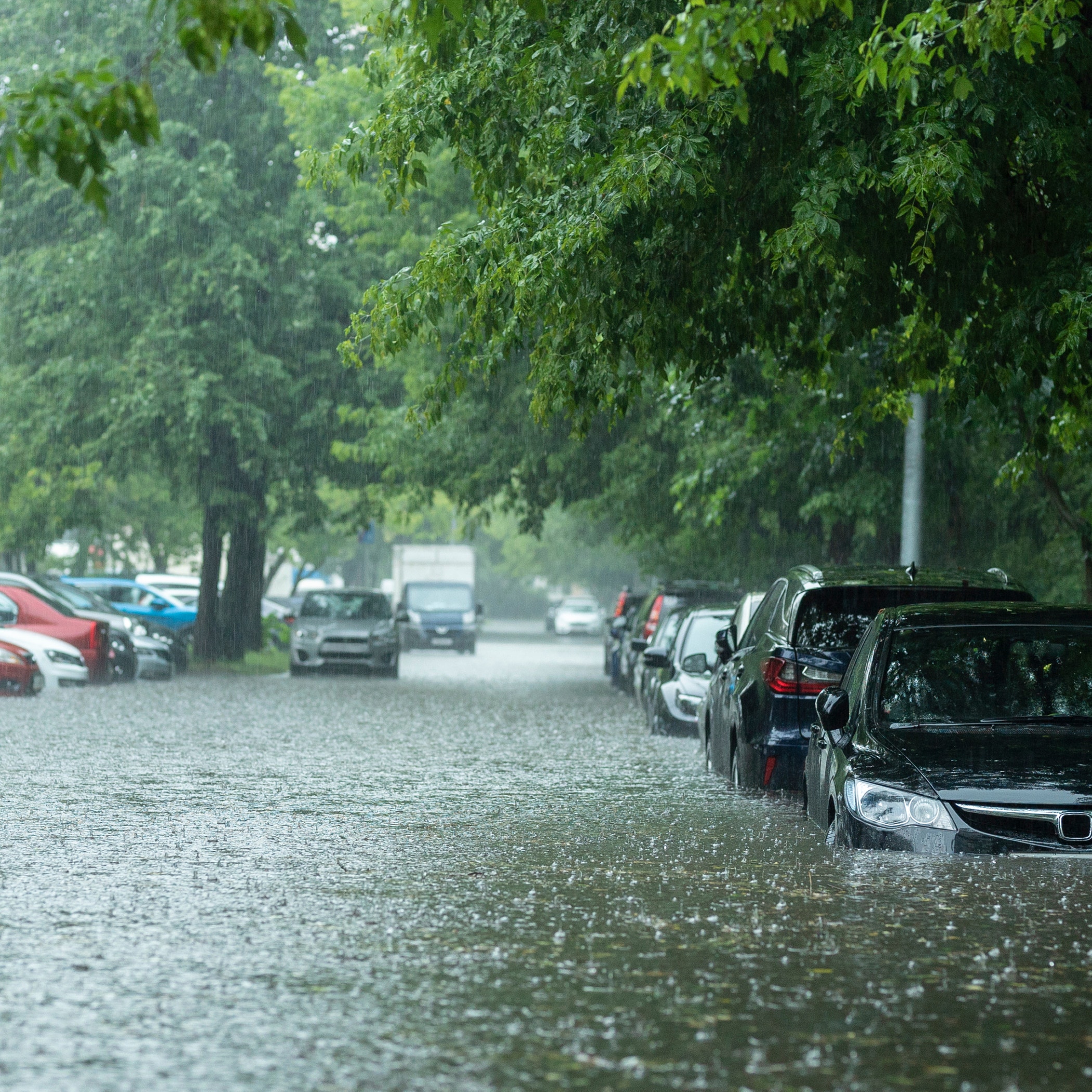 Flooded cars on the street of the city.
