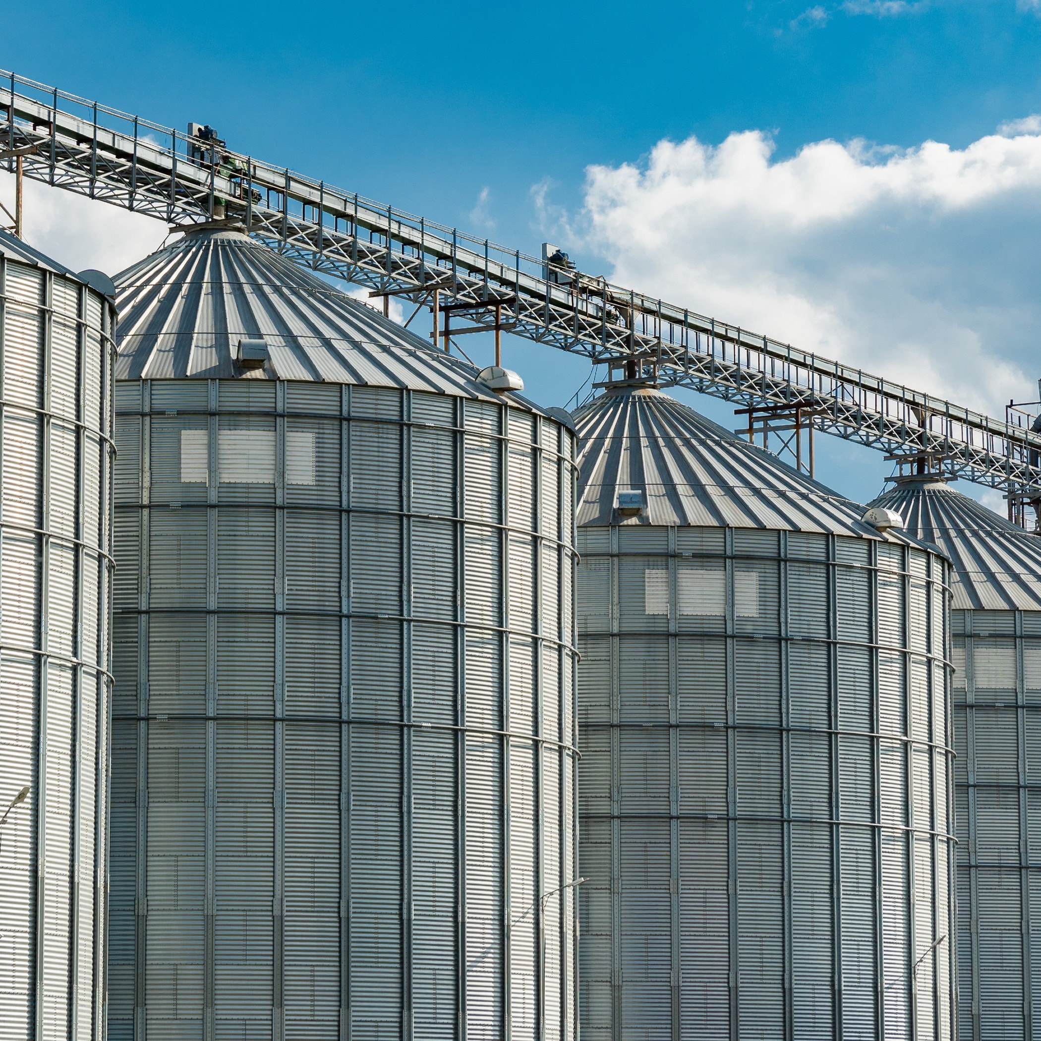 Agricultural silos for storage of grain harvest at an agricultural production farm.