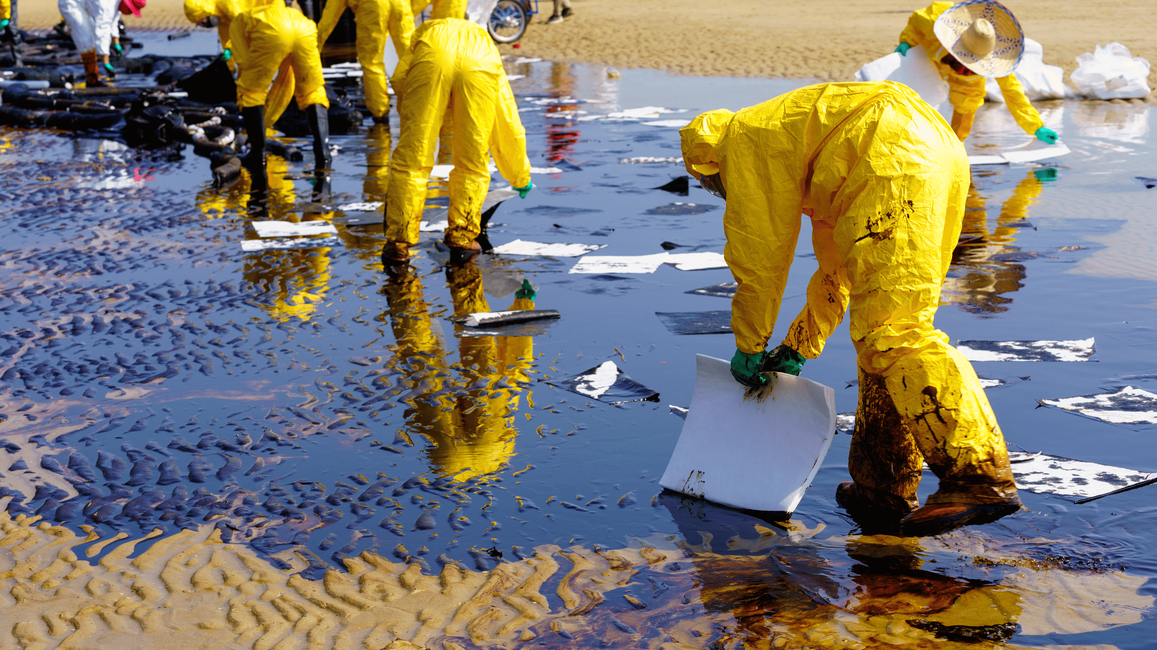 Worker in yellow quarantine suit placing oil absorbent materials to collect crude oil spill from shoreline beach.