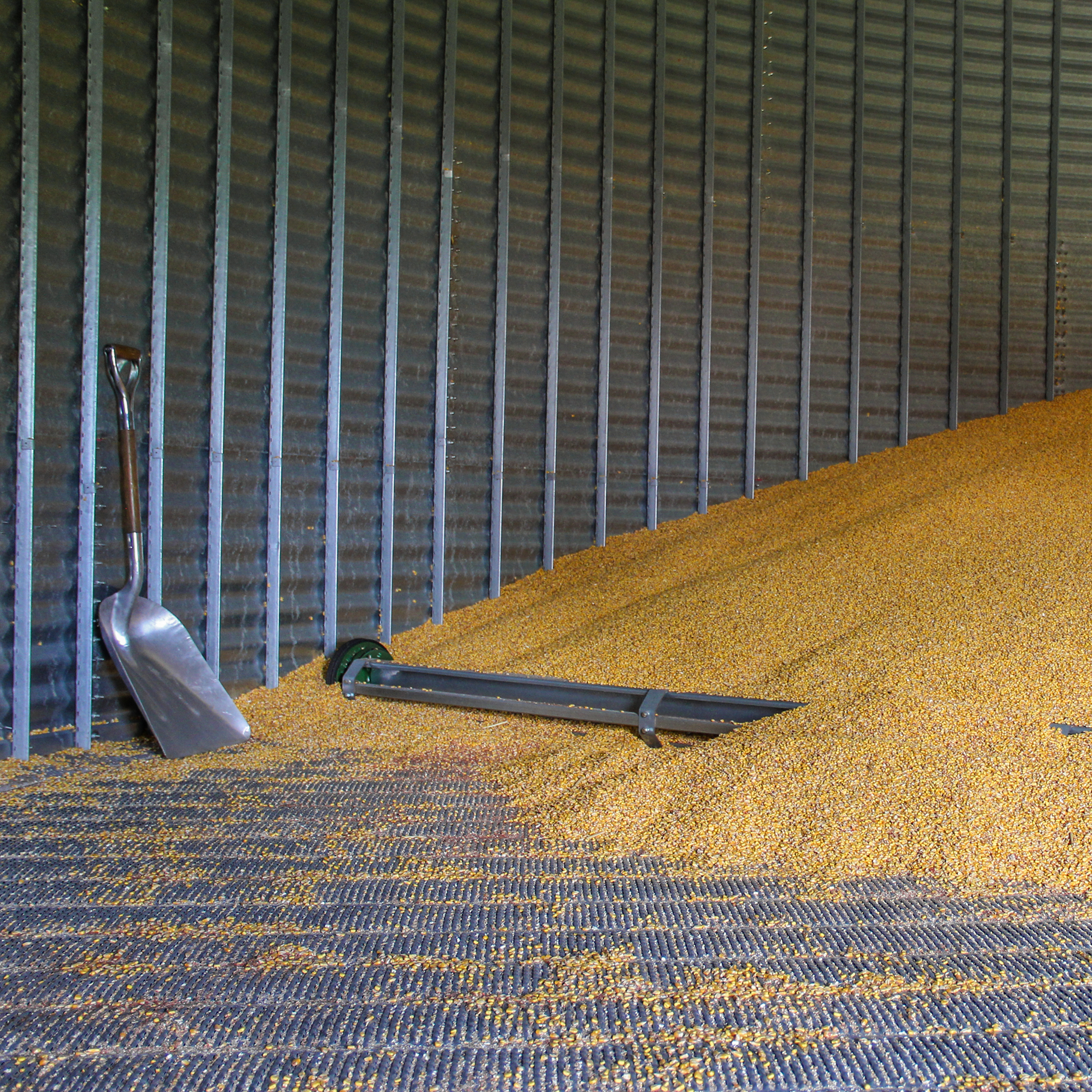 Pile of corn inside a grain bin.