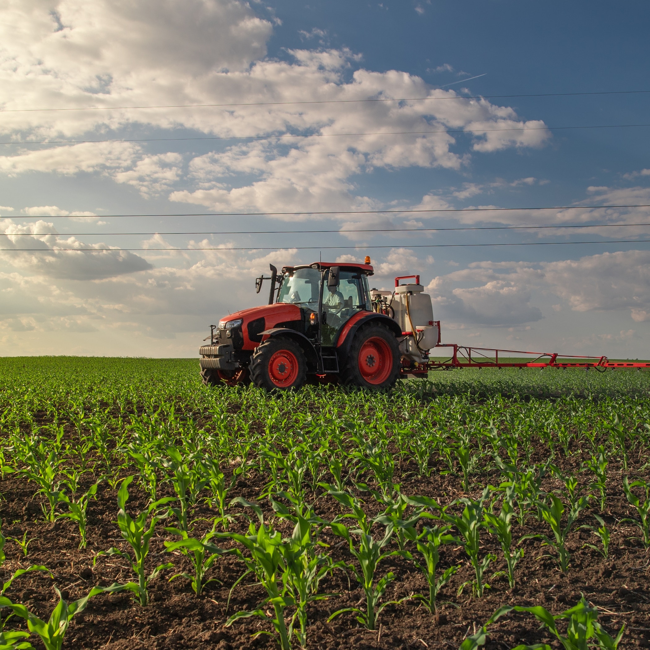 Red tractor spraying cornfield with blue sky.