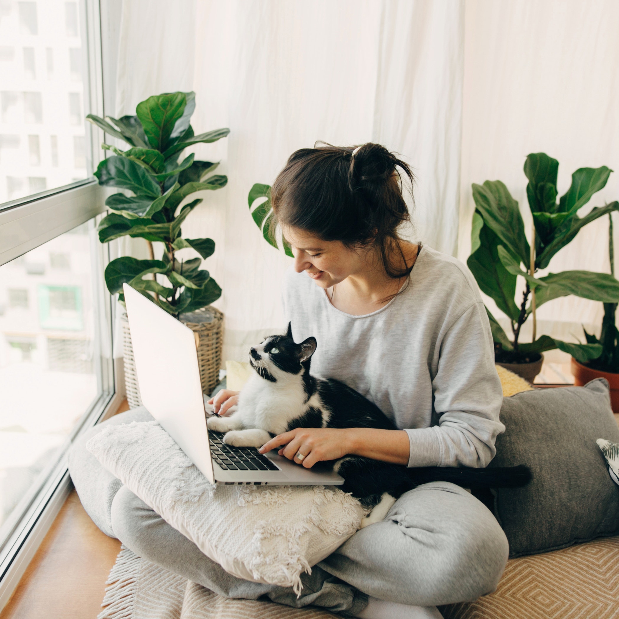 Casual girl working on laptop with her cat, sitting together in modern room with pillows and plants.