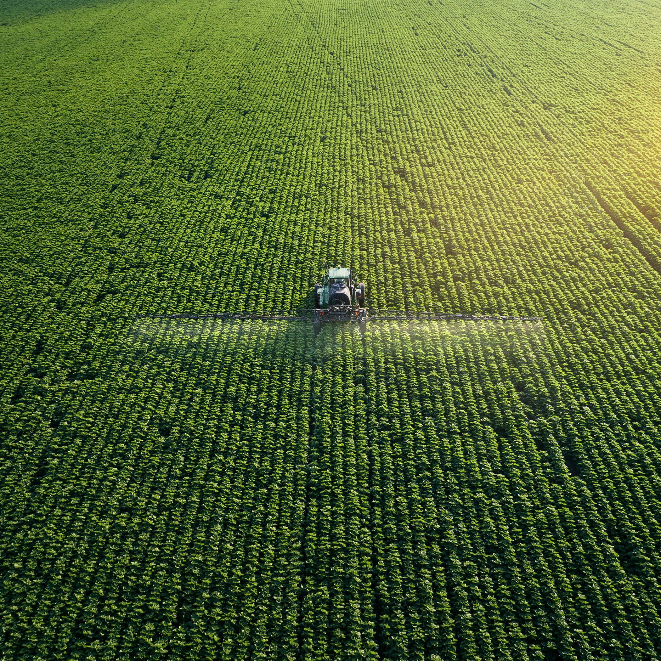 Taking care of the crop. Aerial view of a tractor fertilizing a cultivated agricultural field.