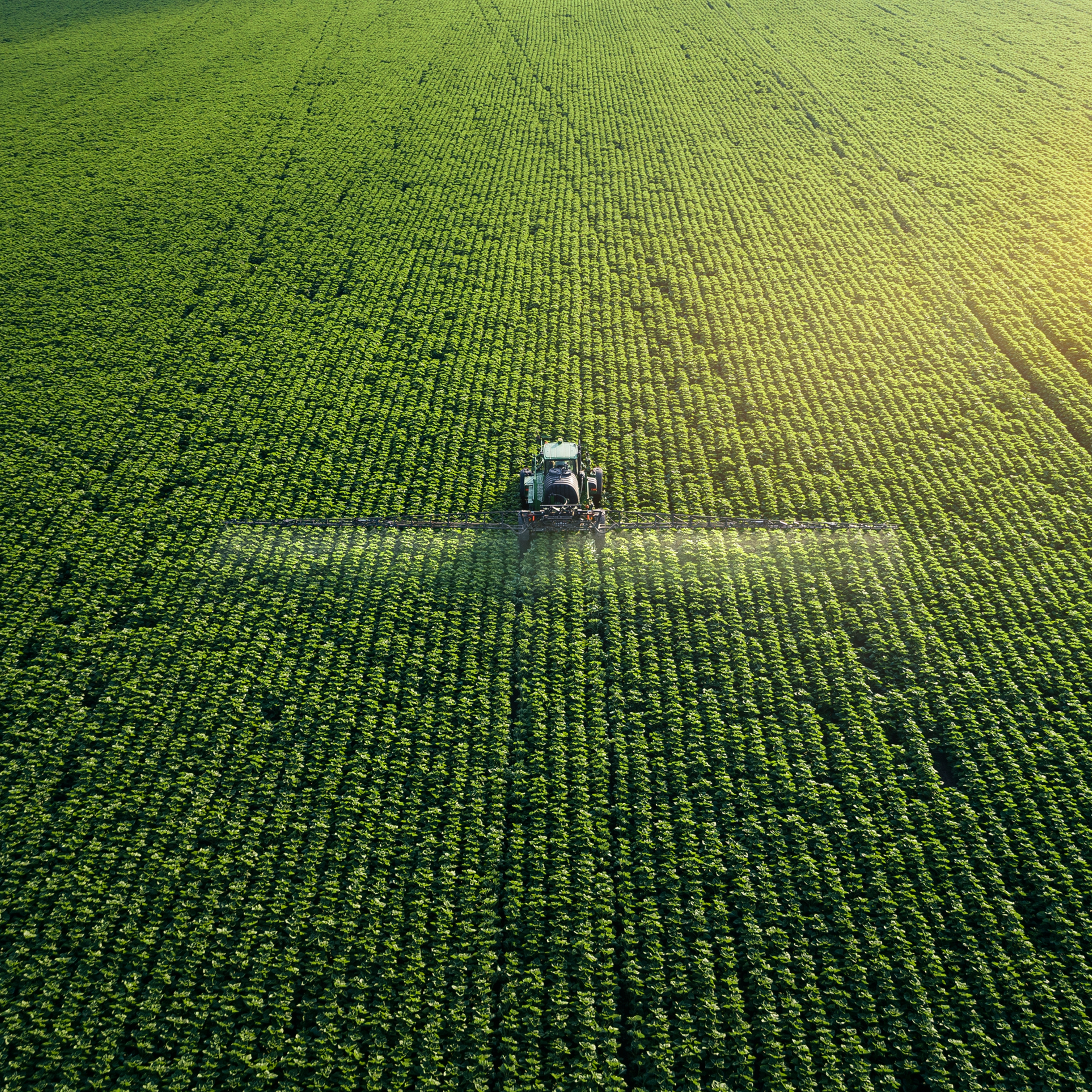 Taking care of the crop. Aerial view of a tractor fertilizing a cultivated agricultural field.