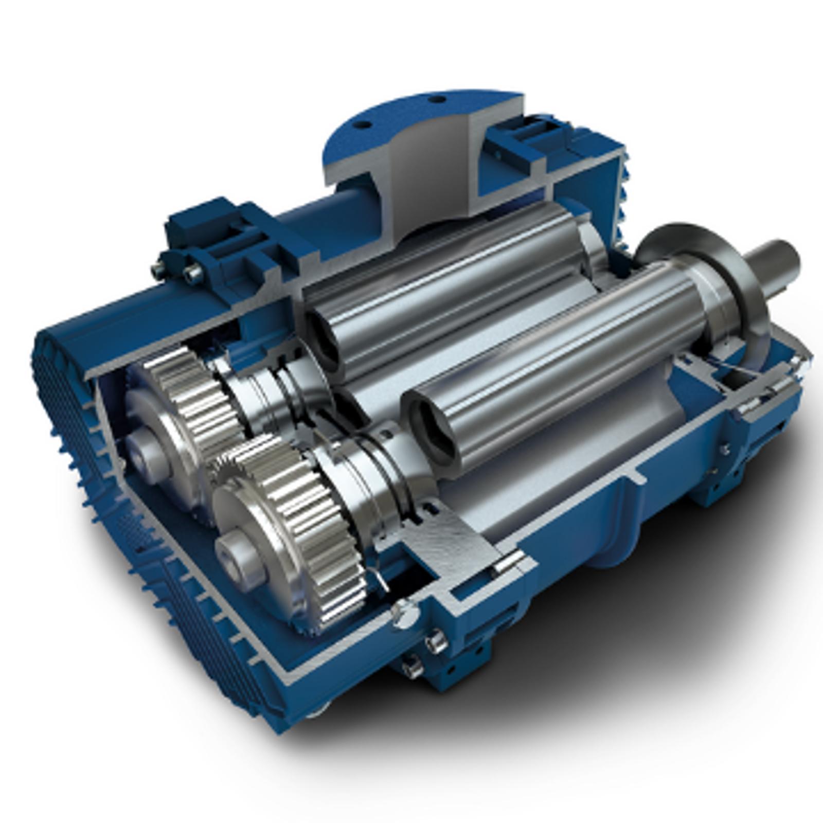 rbs-positive-displacement-blower.png