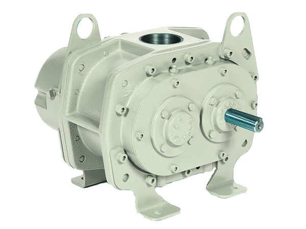 Hibon S2H Series PD Blowers