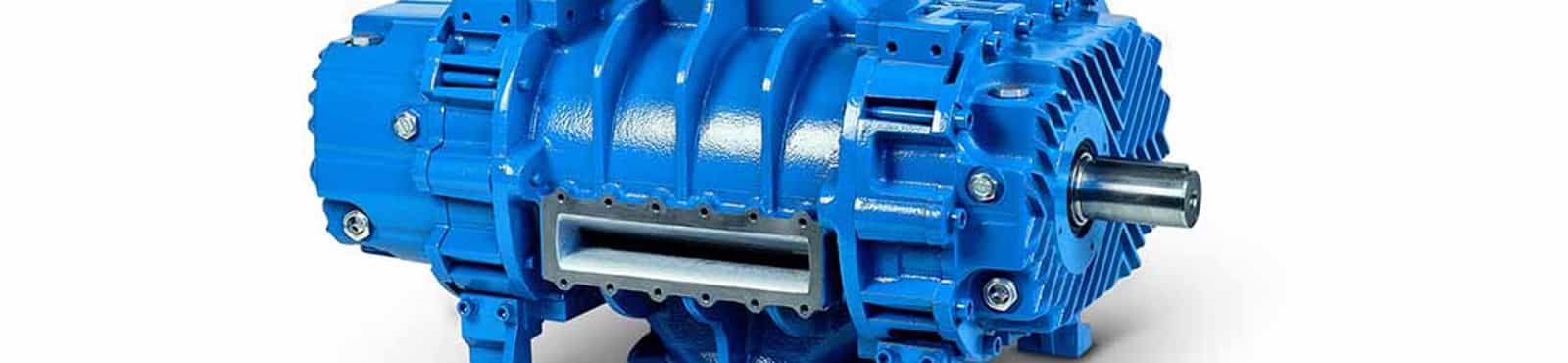 Robuschi PD Blower
