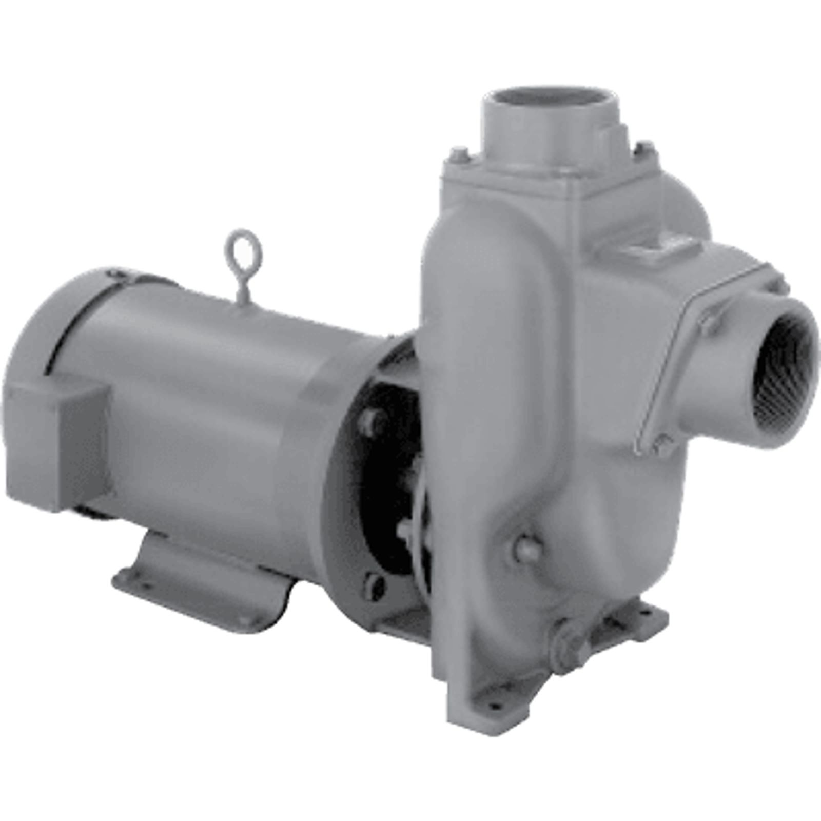 Self Priming Centrifugal Petroleum Pump