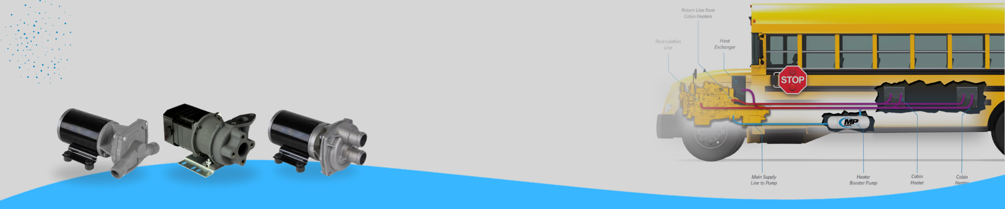 MP Pumps - Circulator Pumps