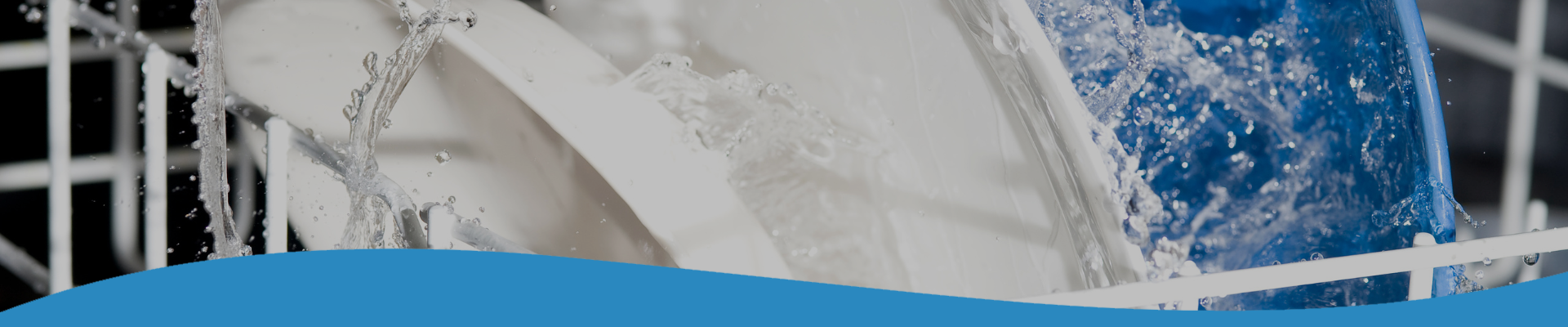 MP Pumps - Industries - WareWash