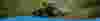 MP Pumps - Industries - Agriculture