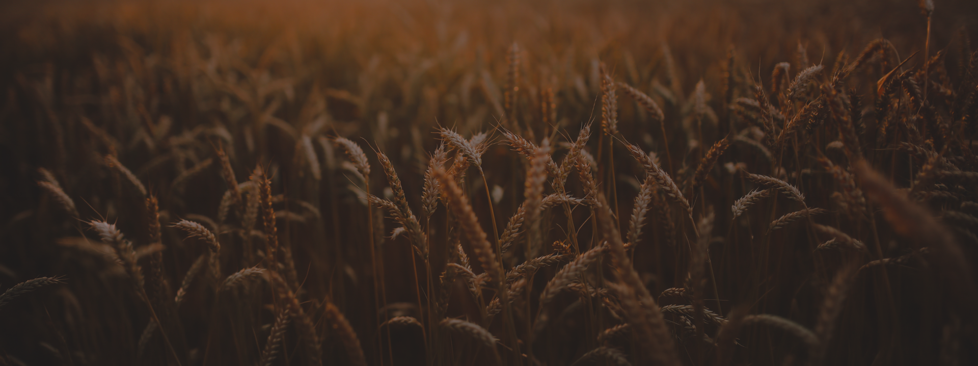 Agriculture