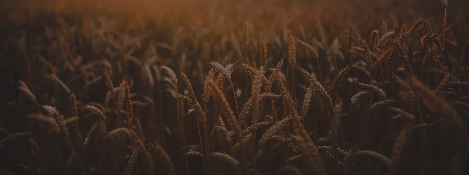 Agriculture