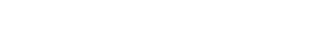 Hankison_logo_White.png