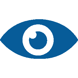  eye-view (1).png