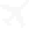 white airplane icon