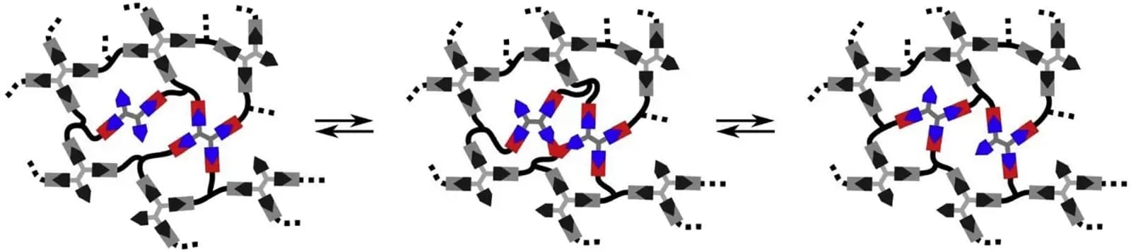 Smart & Functional Polymers