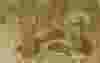 Deburring-before.jpg