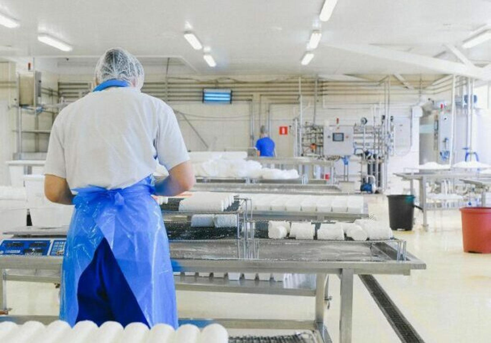 food-factory-1-683x1024-landscape.jpg
