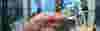 plastic-minning-banner.jpg