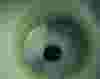 Will-Cause-Leaks.jpg