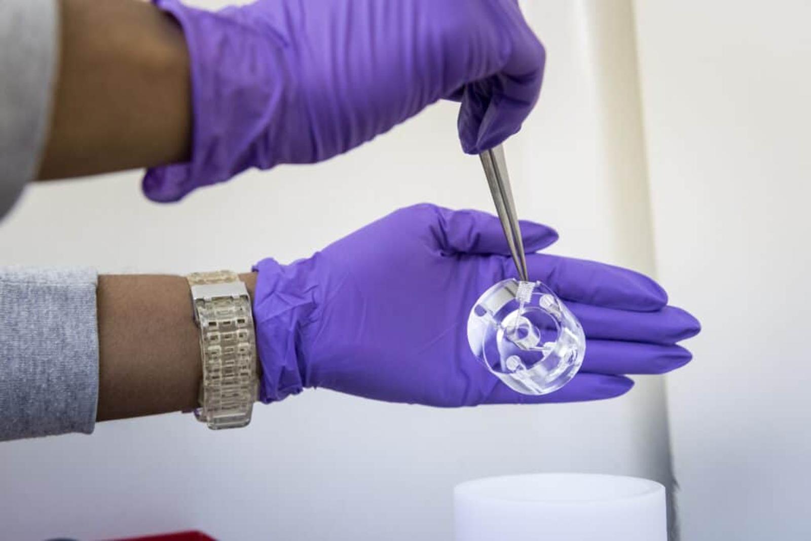 A person wearing a watch and purple gloves holds a small clear polished plastic component with tweezers in one hand and supports it with their other hand.