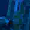nylatron-gs.png