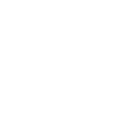  money-white (1).png