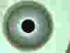 Best-Finish.jpg